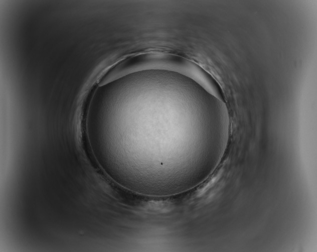 X0000092220101200709211015