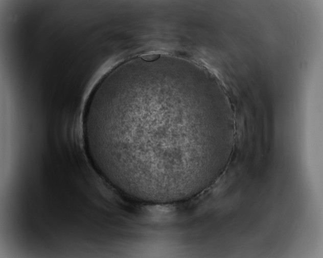 X0000092220102200709211015