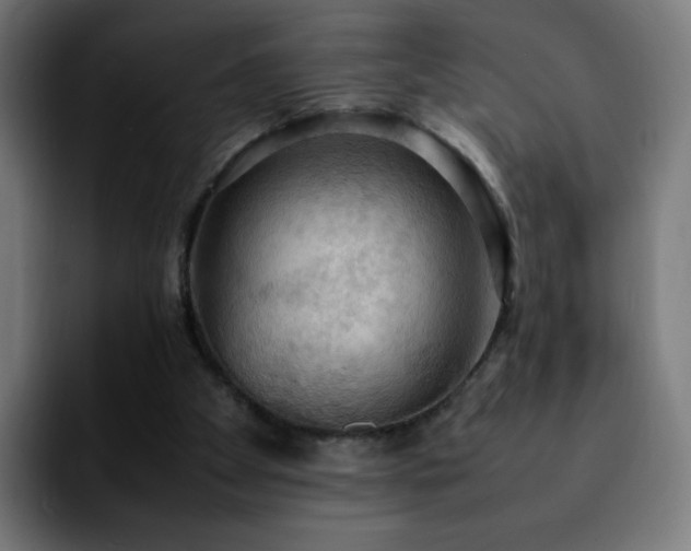 X0000092220105200709211015
