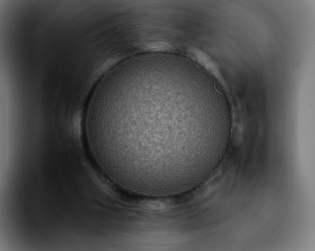 X0000092220106200709211015