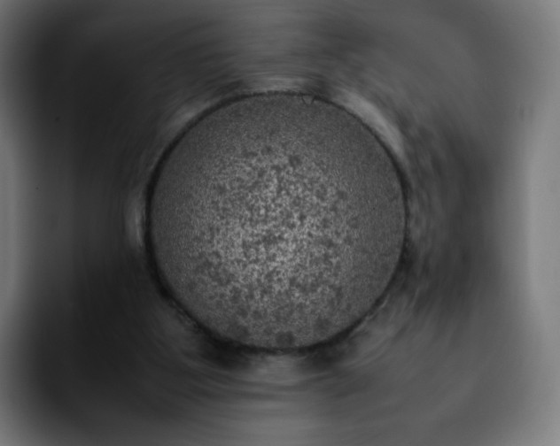 X0000092220107200709211015
