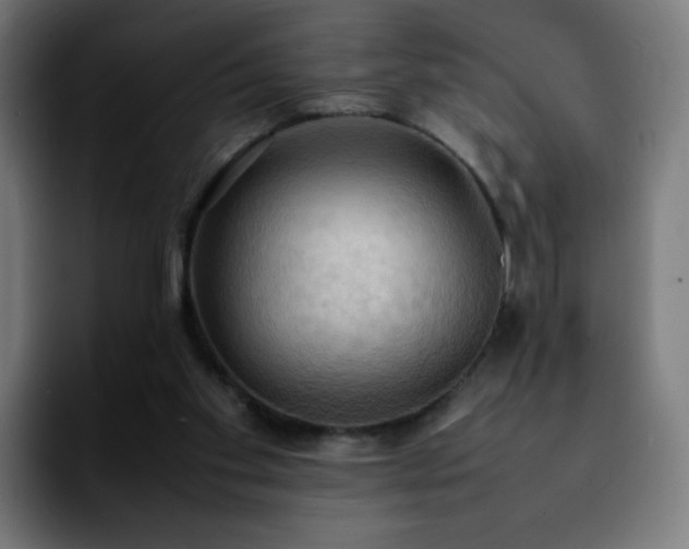 X0000092220109200709211015