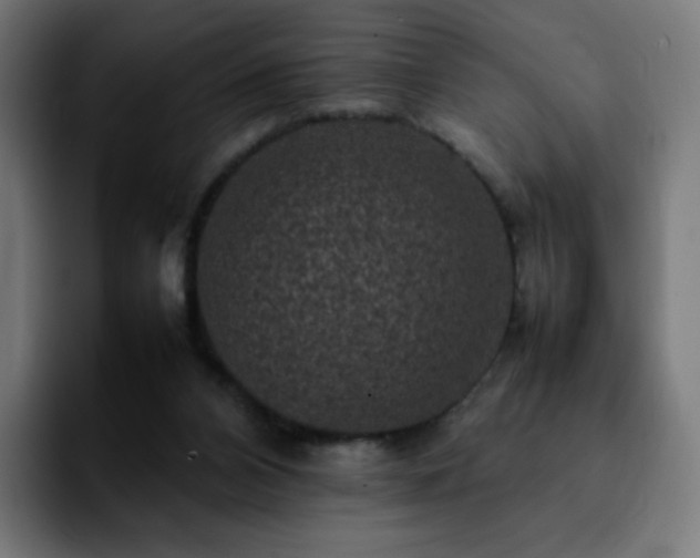 X0000092220112200709211015