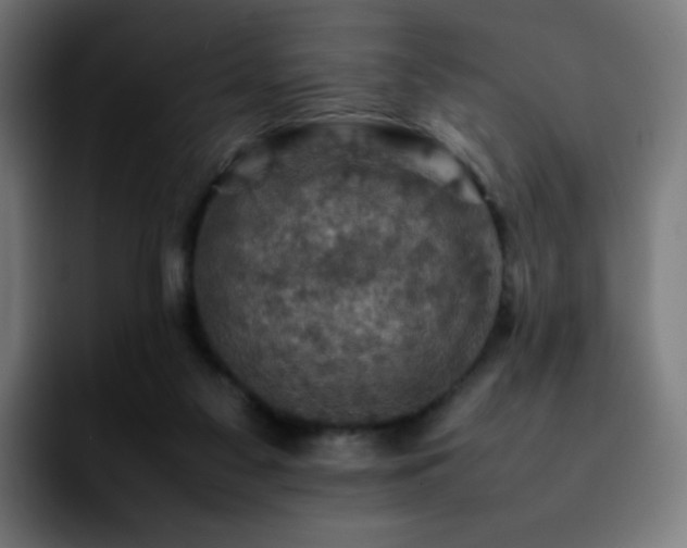 X0000092220117200709211014