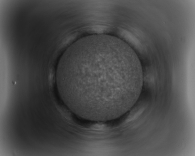 X0000092220119200709211014
