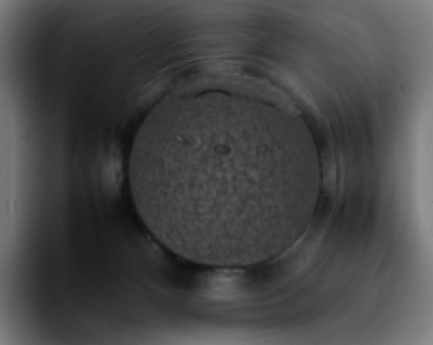 X0000092220128200709211014