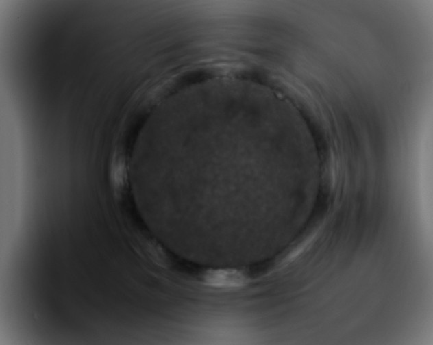 X0000092220137200709211014