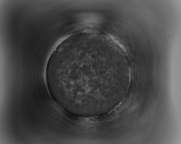 X0000092220147200709211014