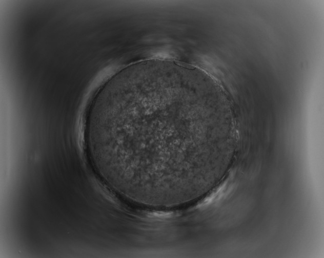X0000092220149200709211014