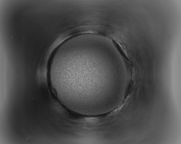 X0000092220150200709211014