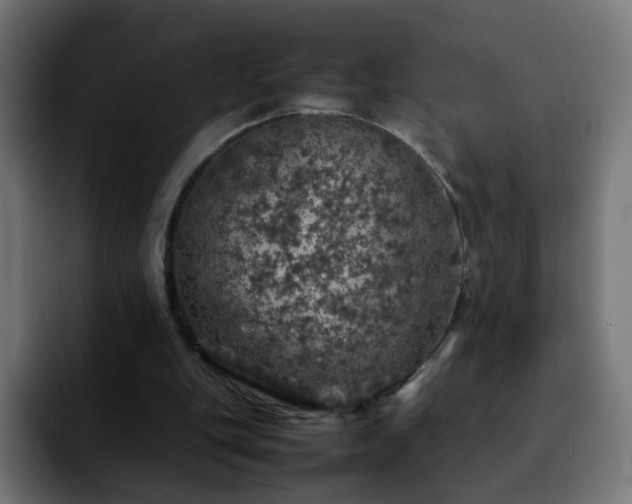 X0000092220151200709211014