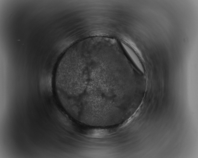 X0000092220154200709211014