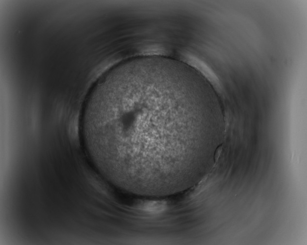 X0000092220155200709211014