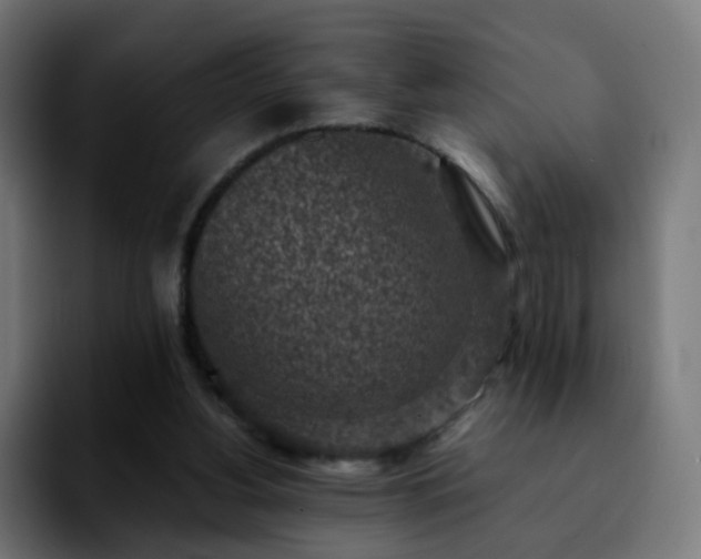 X0000092220156200709211014
