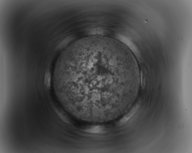 X0000092220157200709211014