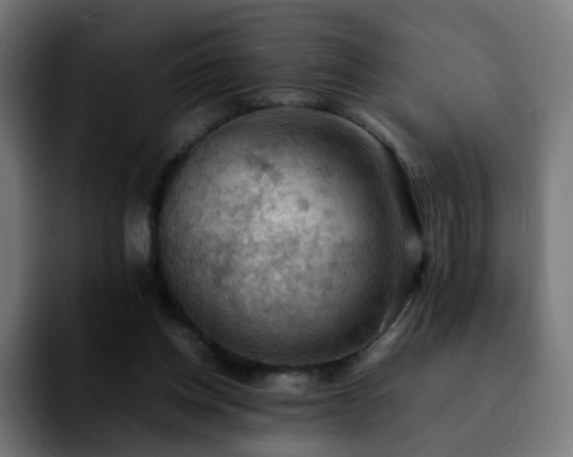 X0000092220158200709211014