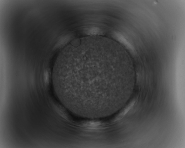 X0000092220165200709211014