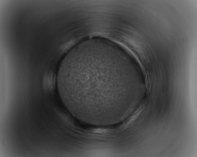 X0000092220168200709211014