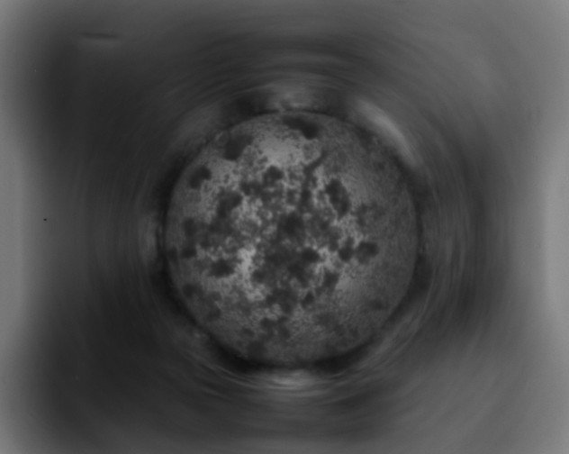 X0000092220169200709211014