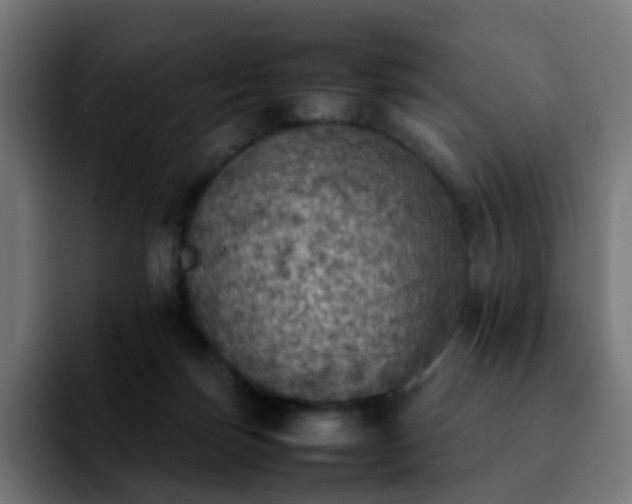 X0000092220171200709211014