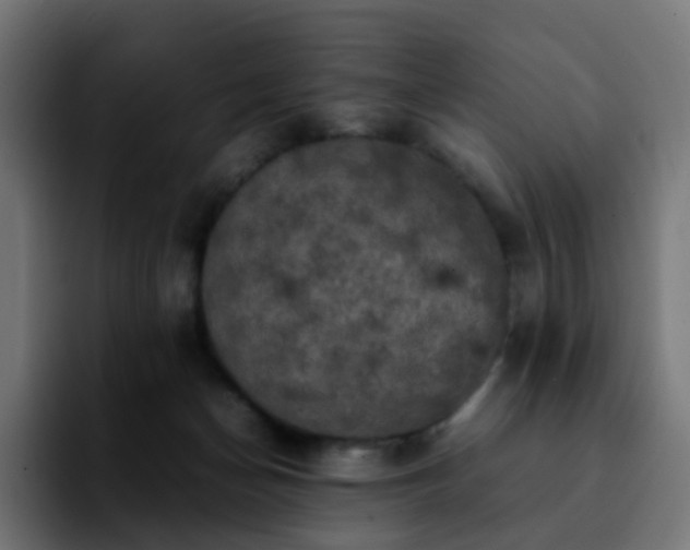 X0000092220174200709211014