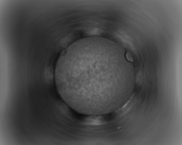 X0000092220179200709211014