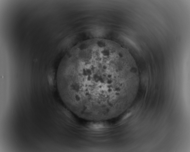X0000092220181200709211014