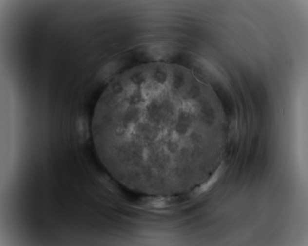 X0000092220182200709211014
