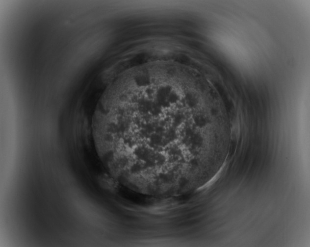 X0000092220191200709211014