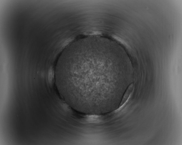 X0000092220192200709211014