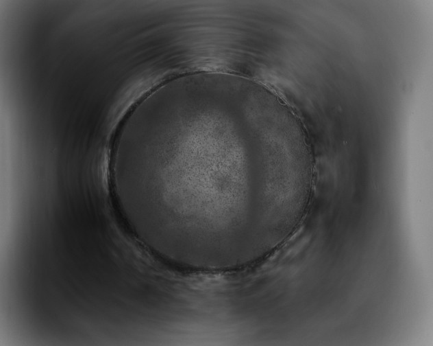 X0000092220194200709211014