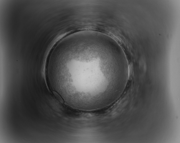 X0000092220195200709211014