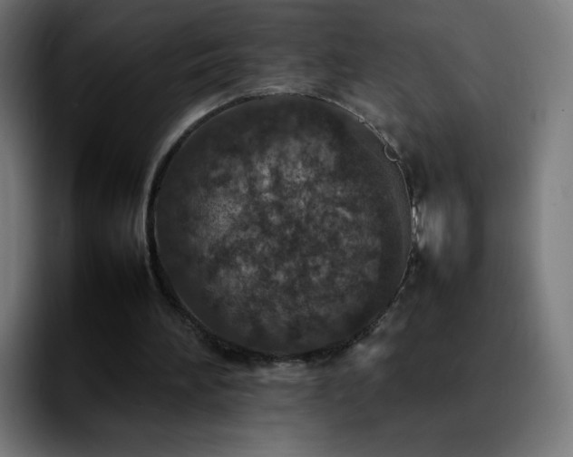 X0000092220196200709211014