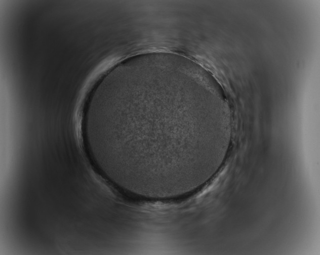 X0000092220197200709211014