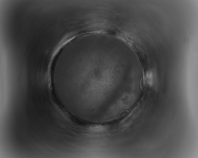 X0000092220198200709211014