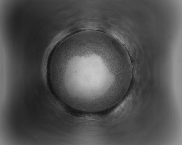 X0000092220199200709211014