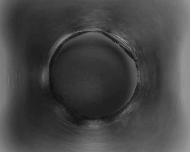 X0000092220200200709211014