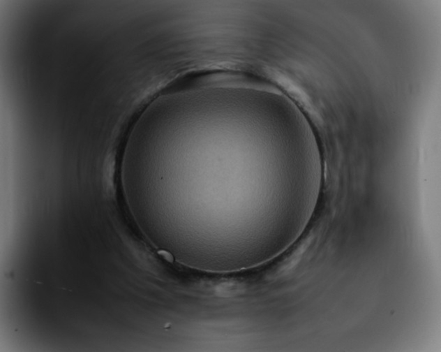 X0000092220201200709211013