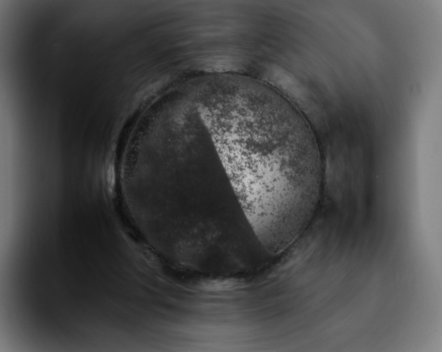 X0000092220202200709211013