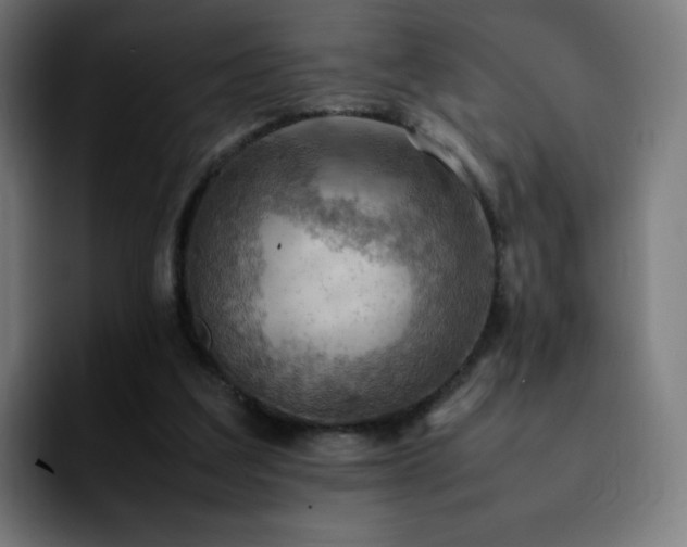 X0000092220203200709211013