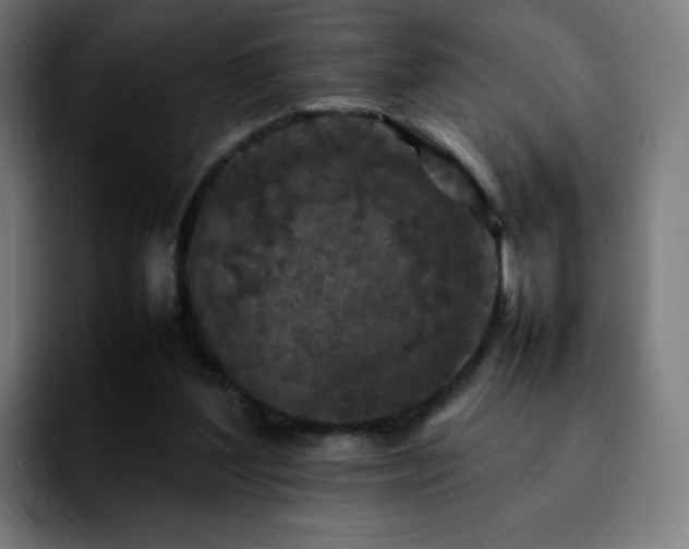 X0000092220204200709211013