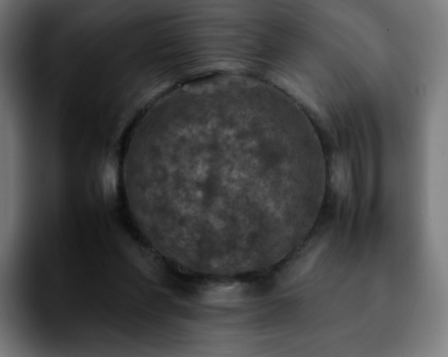 X0000092220206200709211013