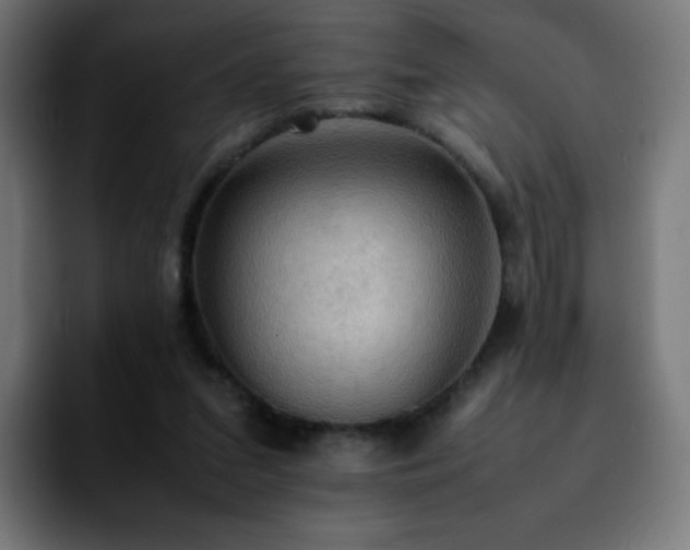 X0000092220207200709211013