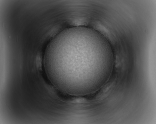 X0000092220210200709211013
