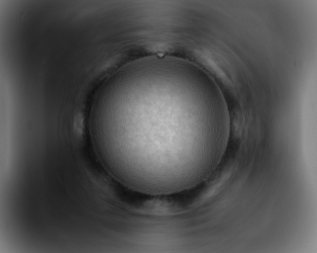 X0000092220211200709211013