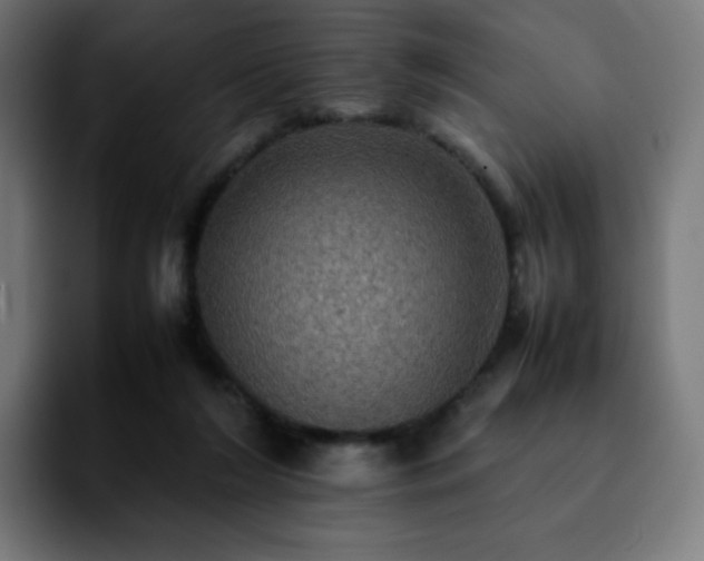 X0000092220212200709211013