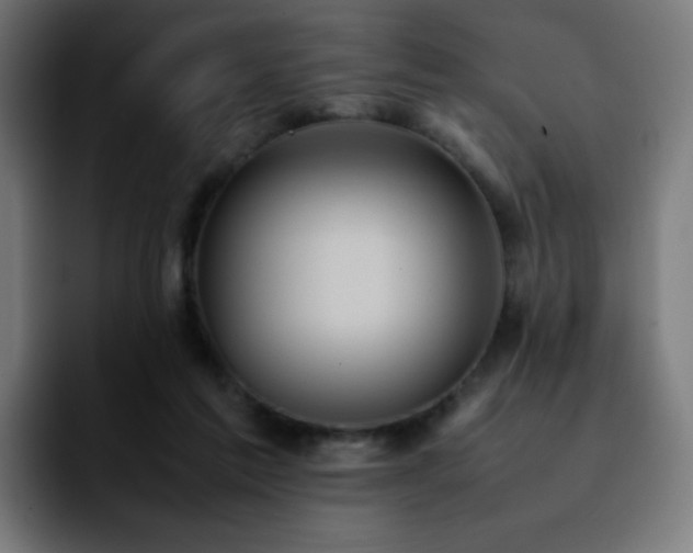 X0000092220213200709211013