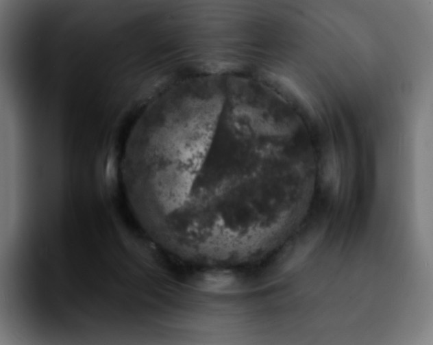 X0000092220214200709211013