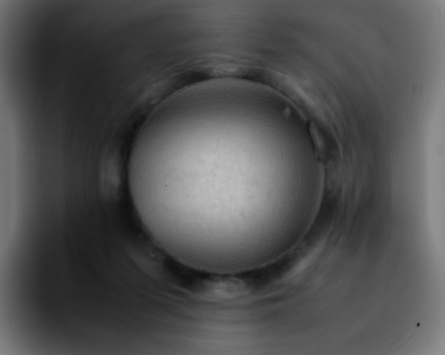 X0000092220215200709211013