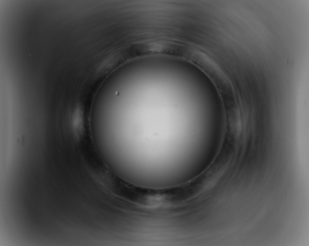 X0000092220216200709211013